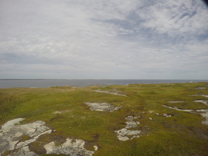 Photograph of Pinchard's Island, Newfoundland — August 25, 2017 at 1:00 PM
