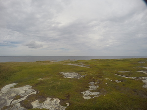 Photograph of Pinchard's Island, Newfoundland — August 25, 2017 at 2:00 PM
