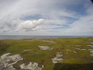 Photograph of Pinchard's Island, Newfoundland — August 25, 2017 at 3:00 PM
