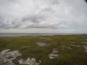Photograph of Pinchard's Island, Newfoundland — August 25, 2017 at 4:00 PM