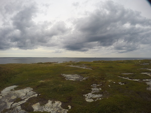 Photograph of Pinchard's Island, Newfoundland — August 25, 2017 at 5:00 PM
