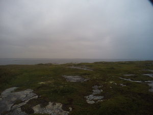 Photograph of Pinchard's Island, Newfoundland — August 25, 2017 at 8:00 PM