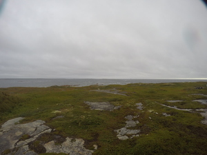 Photograph of Pinchard's Island, Newfoundland — August 26, 2017 at 8:00 AM