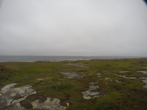 Photograph of Pinchard's Island, Newfoundland — August 26, 2017 at 9:00 AM