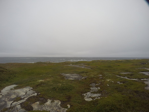 Photograph of Pinchard's Island, Newfoundland — August 26, 2017 at 10:00 AM