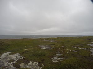 Photograph of Pinchard's Island, Newfoundland — August 26, 2017 at 11:00 AM