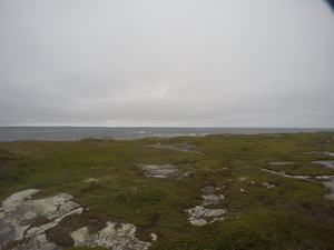 Photograph of Pinchard's Island, Newfoundland — August 26, 2017 at 12:00 PM