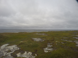 Photograph of Pinchard's Island, Newfoundland — August 26, 2017 at 1:00 PM