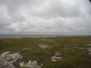 Photograph of Pinchard's Island, Newfoundland — August 26, 2017 at 2:00 PM
