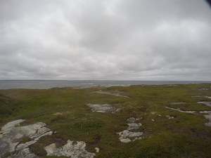 Photograph of Pinchard's Island, Newfoundland — August 26, 2017 at 3:00 PM