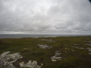 Photograph of Pinchard's Island, Newfoundland — August 26, 2017 at 5:00 PM