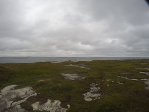 Photograph of Pinchard's Island, Newfoundland — August 26, 2017 at 6:00 PM