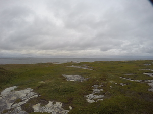Photograph of Pinchard's Island, Newfoundland — August 26, 2017 at 7:00 PM