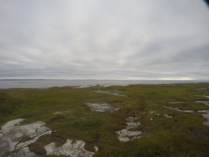 Photograph of Pinchard's Island, Newfoundland — August 27, 2017 at 8:00 AM