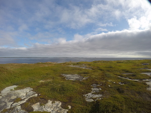 Photograph of Pinchard's Island, Newfoundland — August 27, 2017 at 9:00 AM
