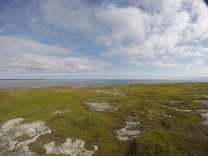 Photograph of Pinchard's Island, Newfoundland — August 27, 2017 at 10:00 AM