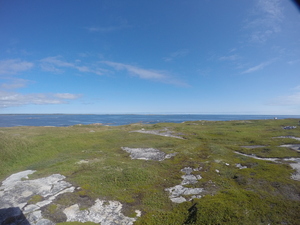 Photograph of Pinchard's Island, Newfoundland — August 27, 2017 at 11:00 AM