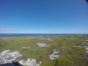 Photograph of Pinchard's Island, Newfoundland — August 27, 2017 at 12:00 PM