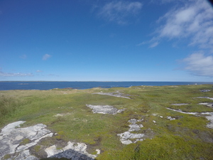 Photograph of Pinchard's Island, Newfoundland — August 27, 2017 at 1:00 PM