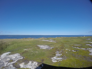 Photograph of Pinchard's Island, Newfoundland — August 27, 2017 at 2:00 PM