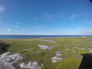 Photograph of Pinchard's Island, Newfoundland — August 27, 2017 at 5:00 PM