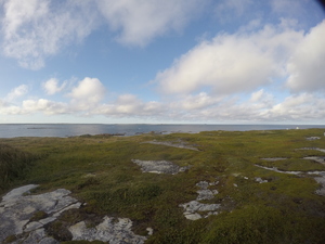 Photograph of Pinchard's Island, Newfoundland — August 27, 2017 at 6:00 PM