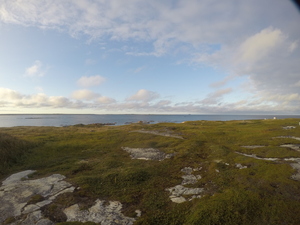 Photograph of Pinchard's Island, Newfoundland — August 27, 2017 at 7:00 PM