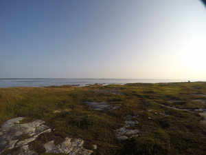 Photograph of Pinchard's Island, Newfoundland — August 29, 2017 at 8:00 AM