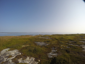 Photograph of Pinchard's Island, Newfoundland — August 29, 2017 at 9:00 AM