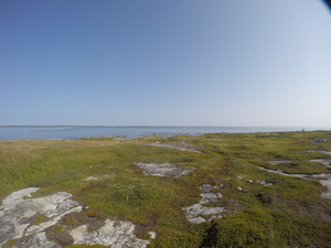 Photograph of Pinchard's Island, Newfoundland — August 29, 2017 at 10:00 AM