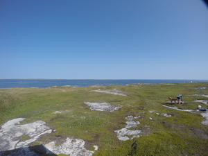 Photograph of Pinchard's Island, Newfoundland — August 29, 2017 at 12:00 PM