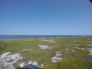 Photograph of Pinchard's Island, Newfoundland — August 29, 2017 at 1:00 PM