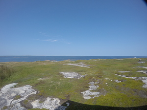 Photograph of Pinchard's Island, Newfoundland — August 29, 2017 at 2:00 PM