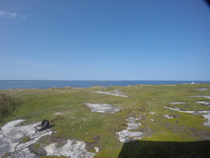 Photograph of Pinchard's Island, Newfoundland — August 29, 2017 at 3:00 PM