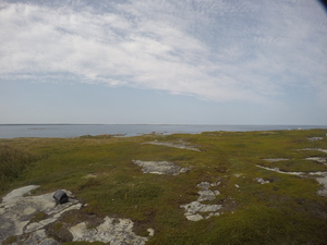 Photograph of Pinchard's Island, Newfoundland — August 29, 2017 at 4:00 PM