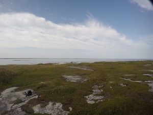 Photograph of Pinchard's Island, Newfoundland — August 29, 2017 at 5:00 PM
