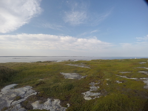 Photograph of Pinchard's Island, Newfoundland — August 29, 2017 at 6:00 PM