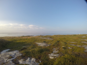 Photograph of Pinchard's Island, Newfoundland — August 29, 2017 at 7:00 PM