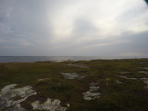 Photograph of Pinchard's Island, Newfoundland — August 30, 2017 at 8:00 AM