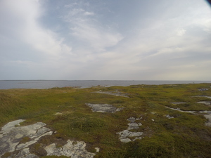 Photograph of Pinchard's Island, Newfoundland — August 30, 2017 at 9:00 AM