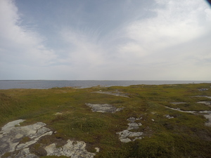 Photograph of Pinchard's Island, Newfoundland — August 30, 2017 at 10:00 AM