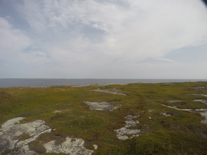 Photograph of Pinchard's Island, Newfoundland — August 30, 2017 at 11:00 AM