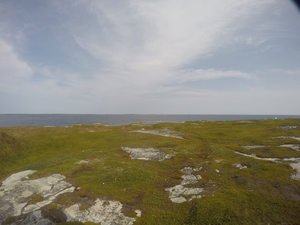 Photograph of Pinchard's Island, Newfoundland — August 30, 2017 at 12:00 PM