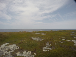 Photograph of Pinchard's Island, Newfoundland — August 30, 2017 at 1:00 PM
