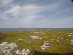 Photograph of Pinchard's Island, Newfoundland — August 30, 2017 at 2:00 PM