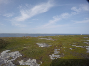 Photograph of Pinchard's Island, Newfoundland — August 30, 2017 at 3:00 PM