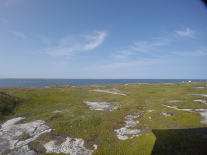 Photograph of Pinchard's Island, Newfoundland — August 30, 2017 at 4:00 PM