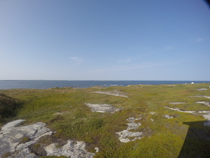 Photograph of Pinchard's Island, Newfoundland — August 30, 2017 at 5:00 PM