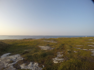 Photograph of Pinchard's Island, Newfoundland — August 30, 2017 at 7:00 PM