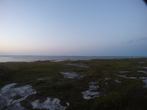 Photograph of Pinchard's Island, Newfoundland — August 30, 2017 at 8:00 PM